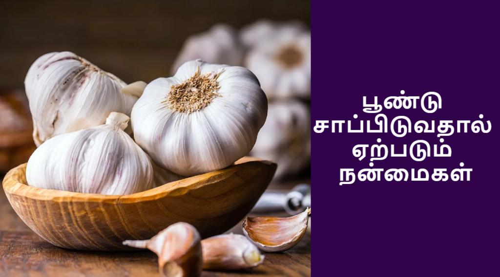 garlic health benefits in tamil