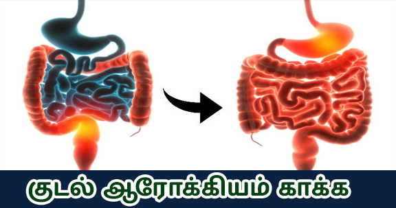 how to improve stomach health naturally in tamil