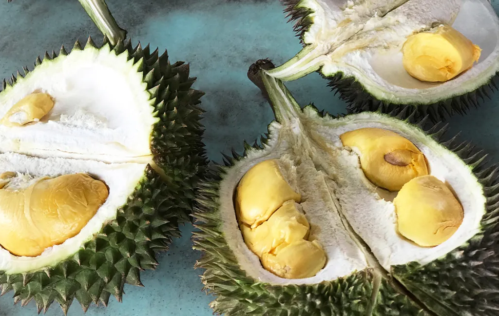 Durian Fruit Benefits in tamil 