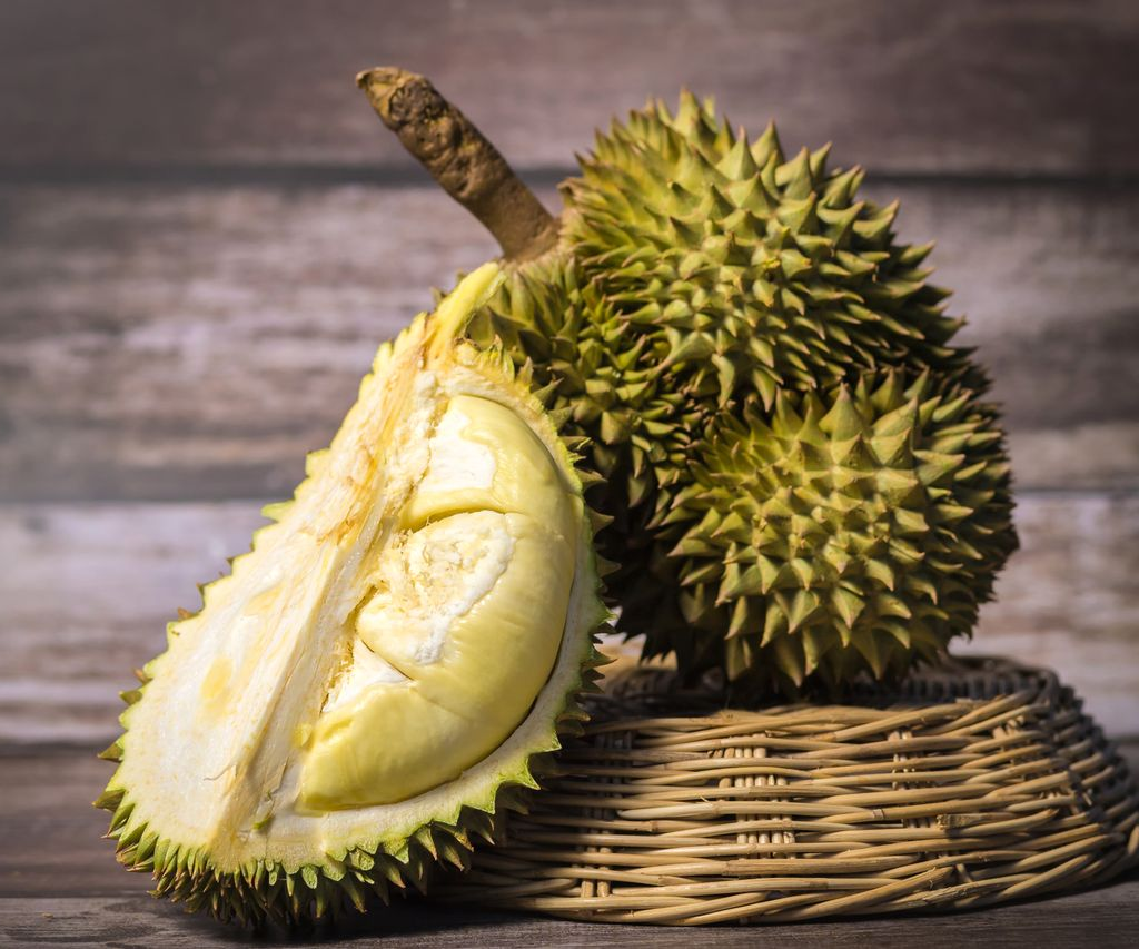 Durian Fruit Benefits in tamil 
