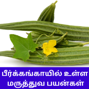 peerkangai benefits in tamil