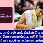 IPPB Executive Recruitment 2025